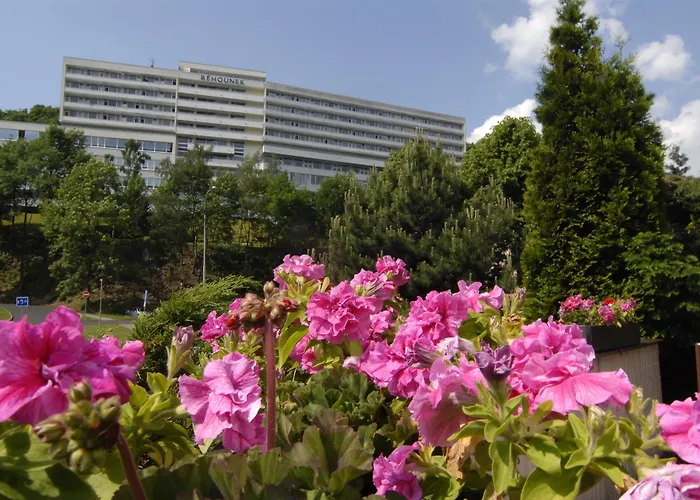 Hotel Behounek